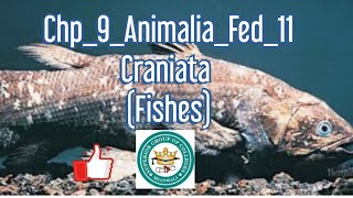 Chp9Federal11CraniataJawless fishesJawed fishesCartiliaginous fishBony fish [upl. by Aramak792]