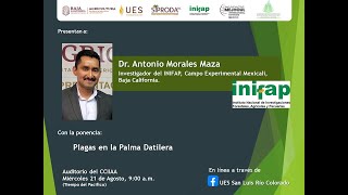 Ponencia Plagas en la Palma Datilera por el Dr Antonio Morales Maza del INIFAP Mexicali [upl. by Alage891]