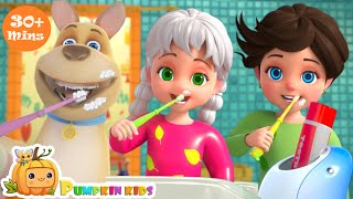 Brush Your Teeth Song 30 Mins  Pumpkin Kids Nursery Rhymes amp Baby Songs [upl. by Goldie]