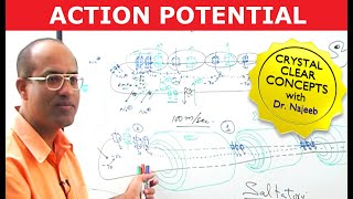 Action Potential in Neurons  Neurology  Dr Najeeb [upl. by Lillywhite395]