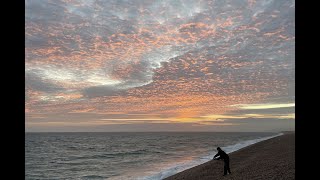 Sea Fishing Chesil Beach Ferrybridge An August Codling Wind Weed 10 Species and Plenty of Bream [upl. by Himelman]