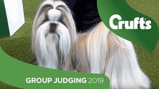 Utility Group Judging and Presentation  Crufts 2019 [upl. by Immat]