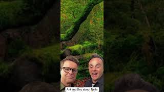 Exclusive I’m a celeb Ant amp Dec first interview with Alan Stubbs Tyrone Dobbs imaceleb jungle [upl. by Kirbee]