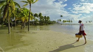 King Tide TimeLapse at Matheson Hammock Beach [upl. by Nocam]