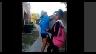 Sharkeisha Fight Video SONG with Memes ft Sharkeisha SHARKEISHA SONG [upl. by Aiykan]