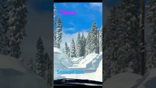 Snowed In Truckee Tahoe California [upl. by Kcirddes589]