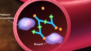 Antigen and antibody immune complex [upl. by Initsed868]