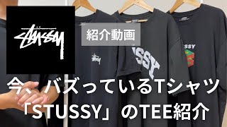 【2023年、めちゃ流行ってます】今、最高にバズっているブランド『STUSSY』のTEEを紹介 [upl. by Carmelina640]