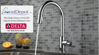 Delta Trinsic Kitchen Faucets [upl. by Wolenik]