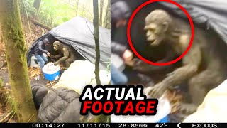 These TERRIFYING Camping Videos Will DISTURB You [upl. by Anelah]