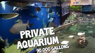 The Worlds Largest Private Home Aquarium Tour  MONSTER FISH at OHIO FISH RESCUE [upl. by Pam]