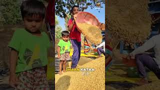 Dhaan Kataa Vibe Village youtube Hatibandha shorts shortsvideo [upl. by Braun]