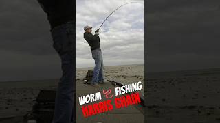 Harris Chain Worm 🪱 Fishing short bassfishing harrischain [upl. by Eltsyrc]