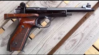 Vostok Margolin 22 Short Pistol [upl. by Eniliuqcaj246]