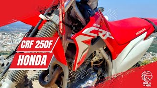 CRF 250 F  Primeiras Impressões motovlog [upl. by Wade865]