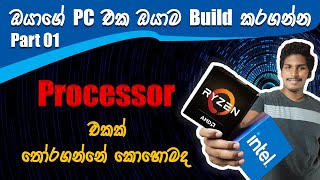 How to choose a Processor Correctly AMD vs Intel Sinhala [upl. by Ullund506]