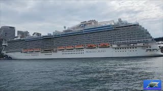 ONE OF MANY CRUISE SHIPS THAT COME IN TO SYDNEY EVERY YEAR 🤣🍺🍻 sydney australia cruiseship [upl. by Nylikcaj634]