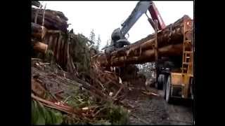 Extreme trucking on Vancouver Island [upl. by Ybreh]