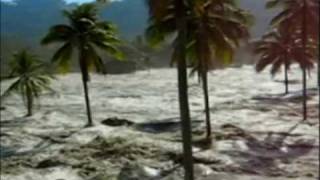 Tsunami Caught on Camera  Part 4 [upl. by Attennod]