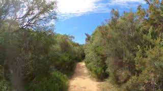 The best mtb trips in Croatia and Slovenia  premantura park Croatia [upl. by Enwad]