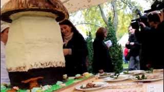 XIV Edición de las Jornadas Gastronómicas de Setas y Caza en Rascafría [upl. by Hannavahs]