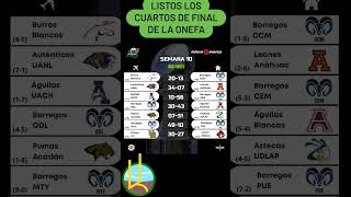 CUARTOS DE FINAL ONEFA [upl. by Dolorita]