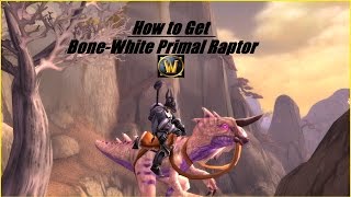 How To Guide BoneWhite Primal Raptor Mount WoW [upl. by Akinnej]