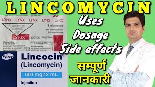 Lynx injection lynx injection 2ml  Lincocin injection  Lincomycin injection uses side effects [upl. by Sseb]