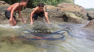 Wilderness Food Caught Mother Blue Crab [upl. by Cinemod]