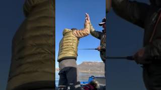 Scott Enloe and his son Hunter netting a giant lake trout laketrout record monsterfish shorts [upl. by Merton]