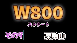 「W800ストリート」 栗駒山 [upl. by Irahs229]