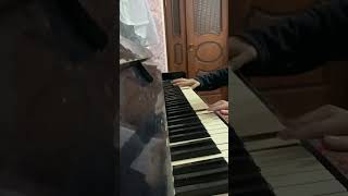 Handel  Passacaglia piano cover by Shakhriyor [upl. by Anehsuc740]