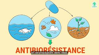 Les antibiotiques  quels sont les risques dun mauvais usage  PROMISE x ANEPF 2 [upl. by Azerila858]