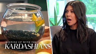 Kourtney Overstays At Kendalls And Almost Murders Her Fish  KUWTK  E [upl. by Durman]