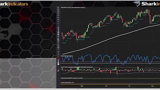 Make Your Own Custom AutoTrader in NinjaTrader 8 with SharkIndicators [upl. by Engenia75]