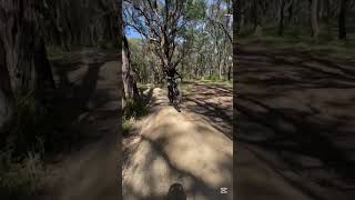 Ride today at Red Hill and eatonsmtb mtbjumps viralvideo fypシ゚viral downhill [upl. by Eatnoid890]