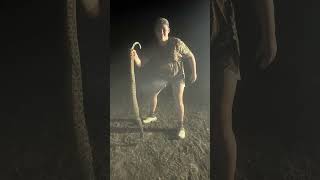 Big 6 foot WDB Rattlesnake herping snake [upl. by Erised]