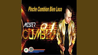 Pinche Cumbion Bien Loco [upl. by Cosetta]