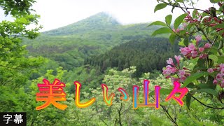 新葉の季節 5月15日 月曜 晴れ ヒメウツギの咲く道 美しい山々 日本 鳥取県西伯郡大山町豊房 香取展望駐車場 WalkingYoshi [upl. by Fredericka]