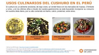 ULIMA  IDIC AFBP  Cushuro Nostoc commune para alimentos funcionales contra desnutrición infantil [upl. by Attener345]