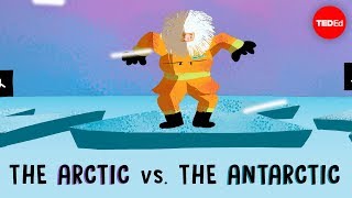 The Arctic vs the Antarctic  Camille Seaman [upl. by Irrem]