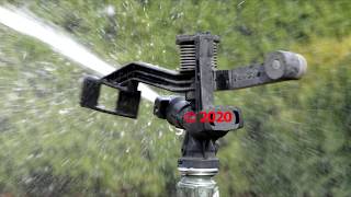 Rain Bird L36 Impact Sprinkler [upl. by Halet]