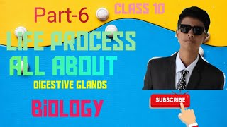 Part6Life processClass 10Digestive glands BIOLOGY [upl. by Nasus725]