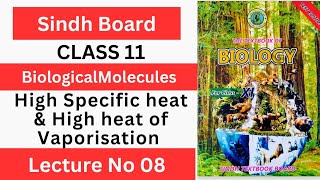 High Specific heat amp High heat of vaporization Class 11 Chp1 Biological Molecules  Sindh board [upl. by Miyasawa]