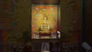 Golden Buddha [upl. by Ydniahs118]