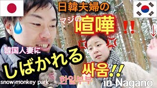 【日韓夫婦】マジで喧嘩が怖すぎる！温泉に入る猿を見に行こう！SNOW MONKEY JAPAN 地獄谷野猿公苑 Jigokudani Snow Monkey Park [upl. by Thisbee]