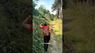 Survival bushcraft skills 🫡 shortsvideo bushcraft lifehack [upl. by Elvia111]