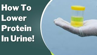 Proteinuria Treatment How to Lower Your protein in Urine [upl. by Ennaehr129]