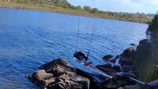 Fishing in merimbula back lake for bream flathead and eels [upl. by Flo173]