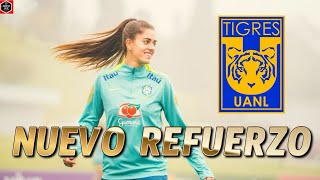 🚨JHENIFFER CORDINALI SERÁ EL PRIMER FICHAJE PARA TIGRES FEMENIL [upl. by Pulchi63]